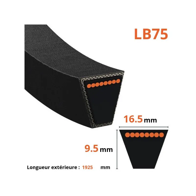 Courroie lisse trapézoïdale LB75
